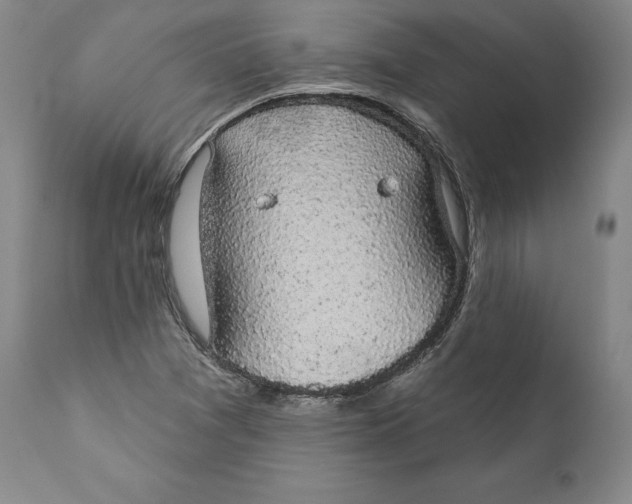 X0000110761361200907061044