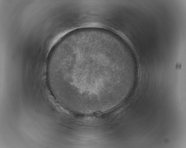 X0000110761364200907061044