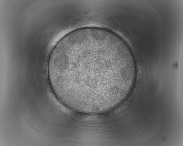 X0000110761367200907061044