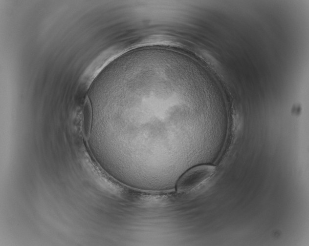 X0000110761369200907061044