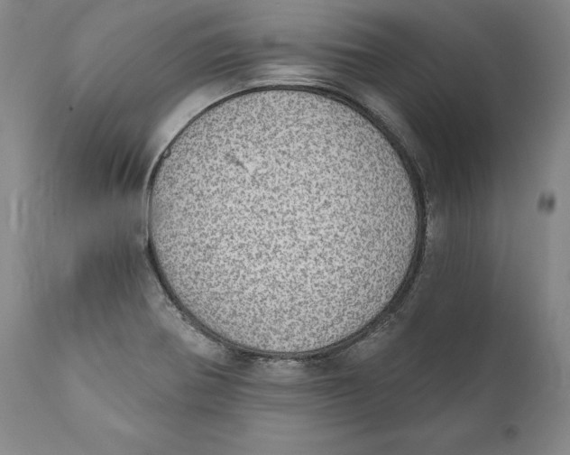 X0000110761370200907061044