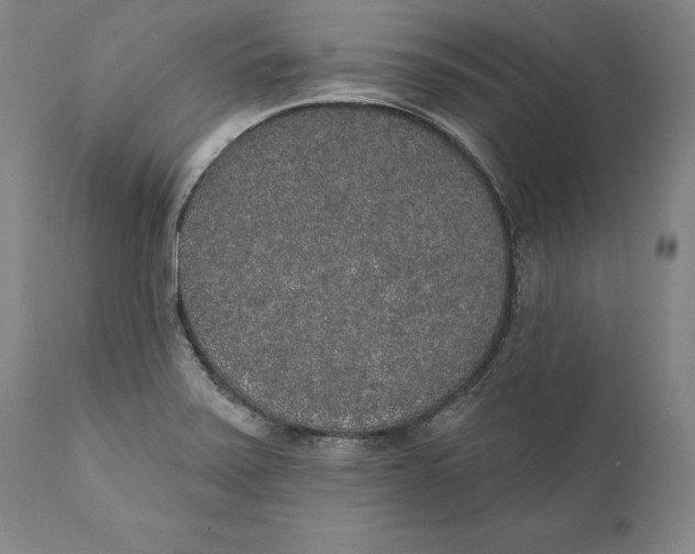 X0000110761371200907061044