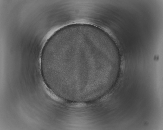 X0000110761372200907061044