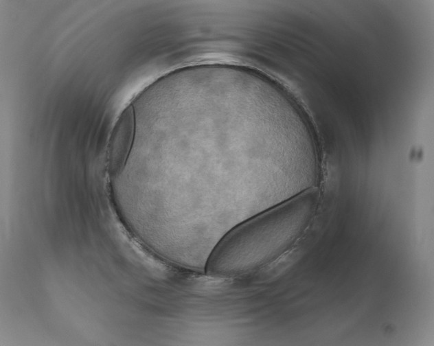 X0000110761373200907061044