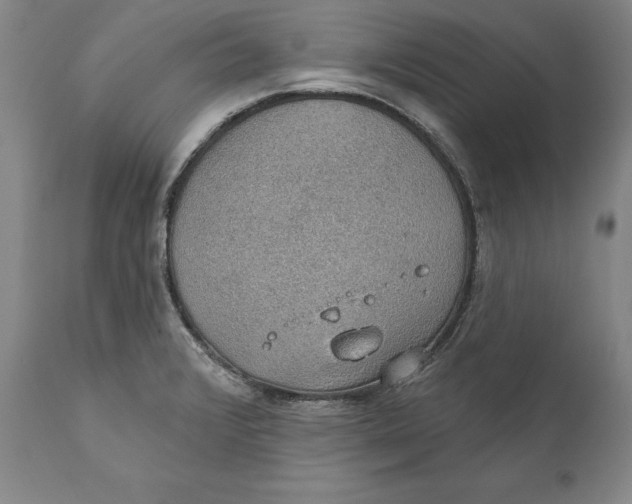 X0000110761376200907061044