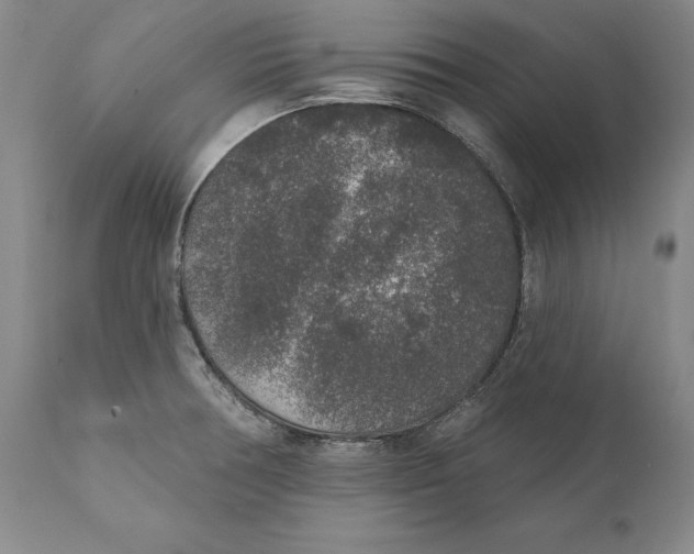 X0000110761378200907061044