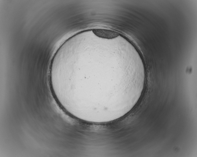 X0000110761379200907061044