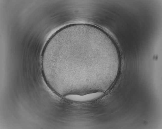 X0000110761380200907061044