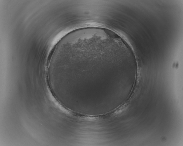X0000110761381200907061044