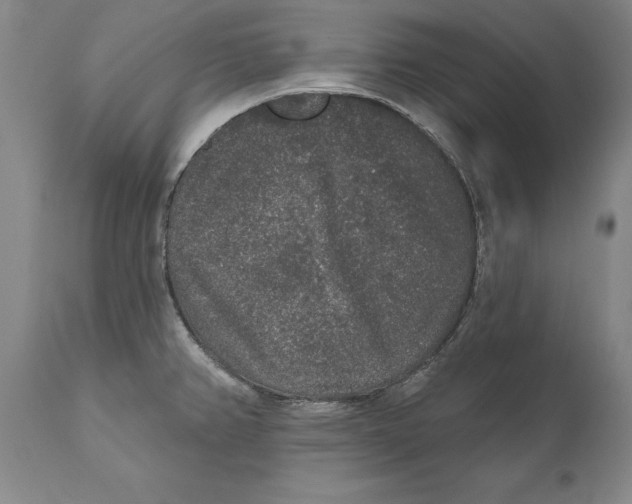X0000110761382200907061044