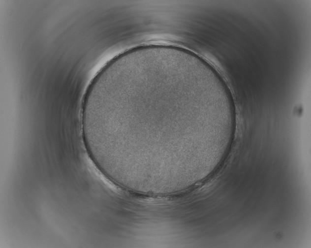 X0000110761384200907061044