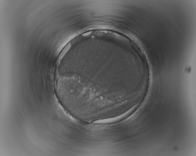 X0000110761385200907061044