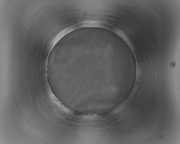 X0000110761386200907061044