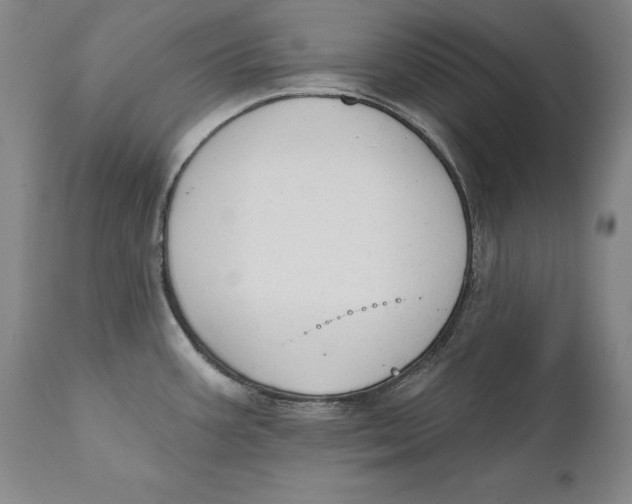 X0000110761387200907061044