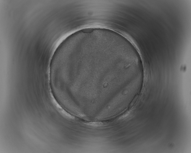 X0000110761388200907061044
