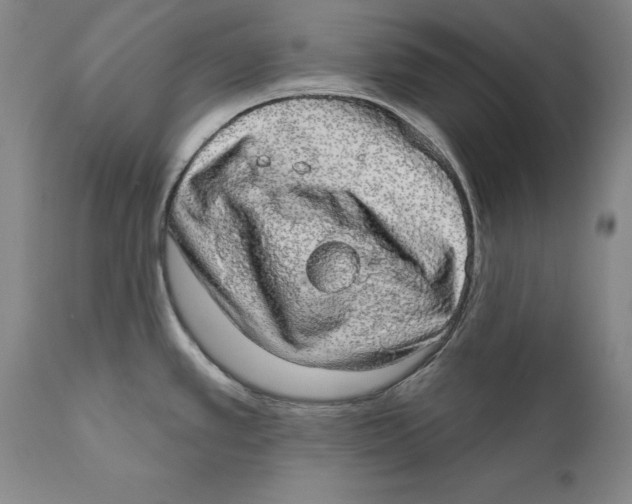 X0000110761389200907061044