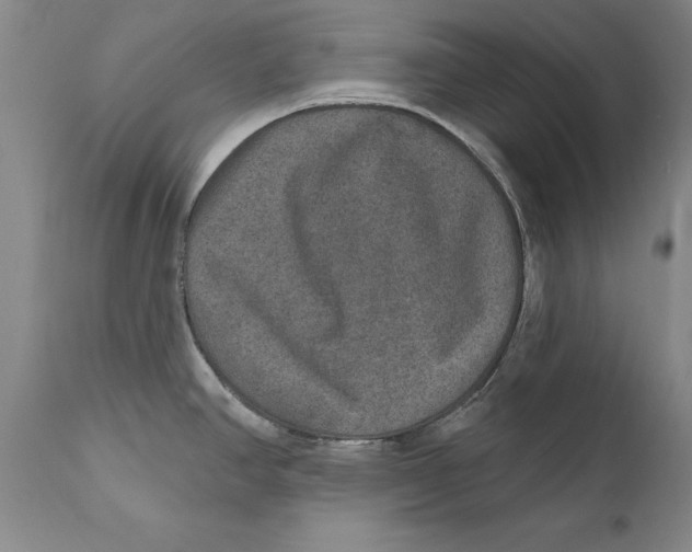 X0000110761390200907061044