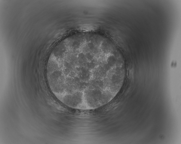 X0000110761393200907061043