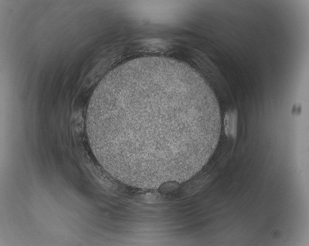 X0000110761395200907061043
