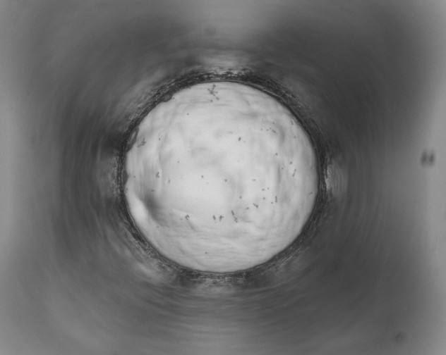 X0000110761396200907061043
