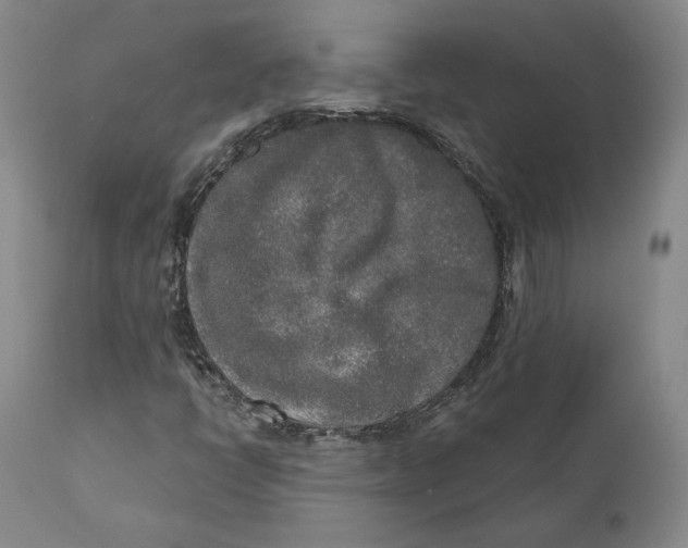 X0000110761398200907061043
