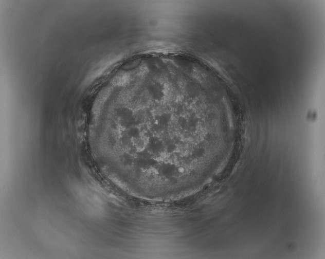 X0000110761399200907061043