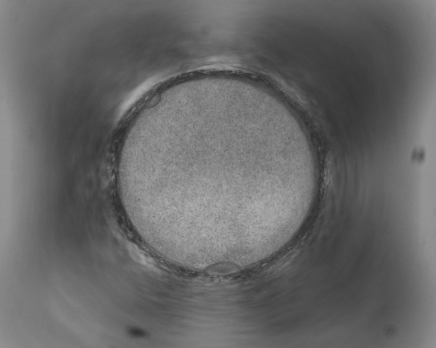 X0000110761400200907061043