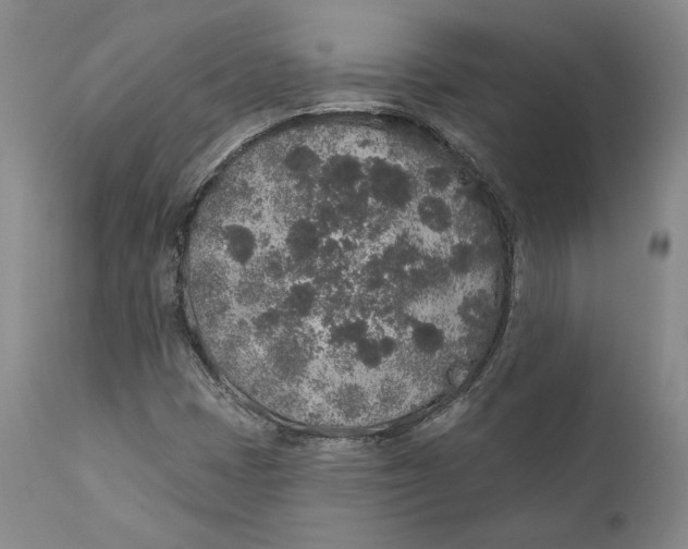 X0000110761401200907061043