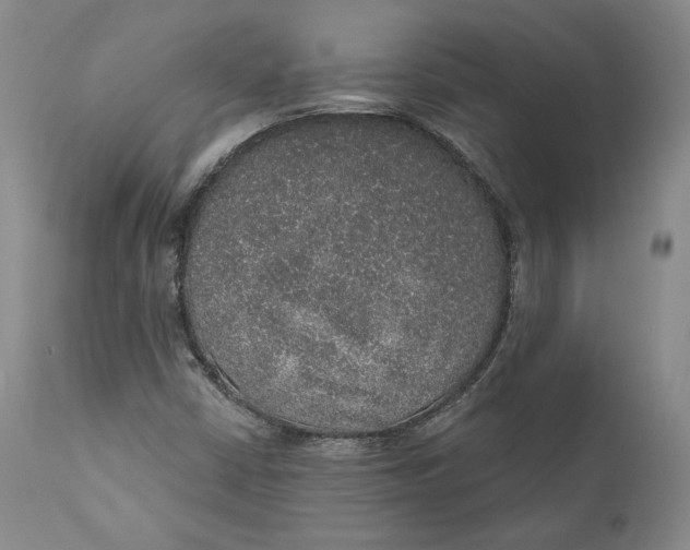 X0000110761402200907061043