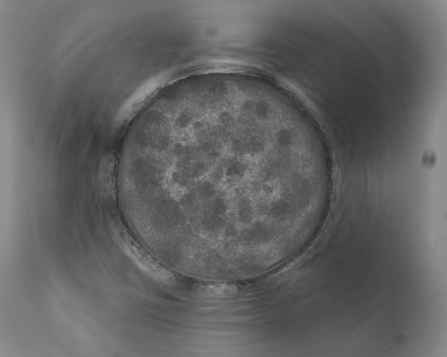 X0000110761403200907061043