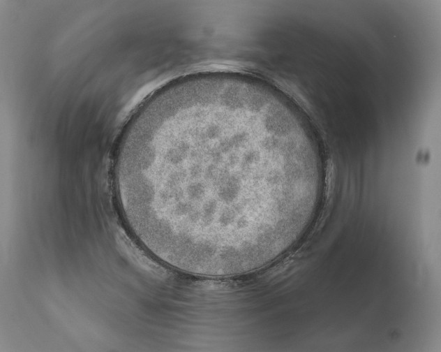 X0000110761404200907061043