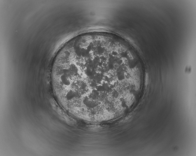 X0000110761405200907061043
