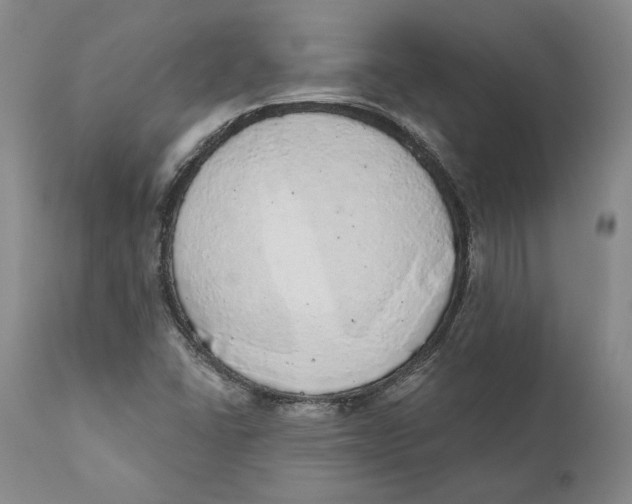 X0000110761406200907061043
