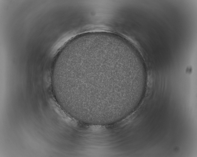 X0000110761407200907061043