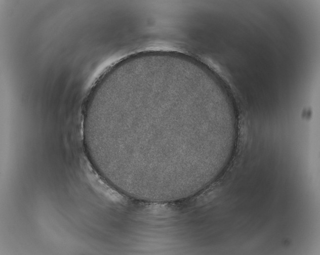 X0000110761408200907061043