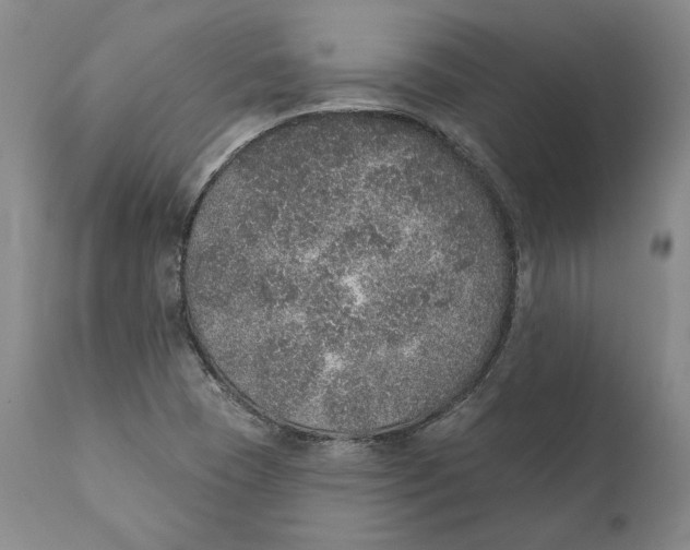 X0000110761409200907061043
