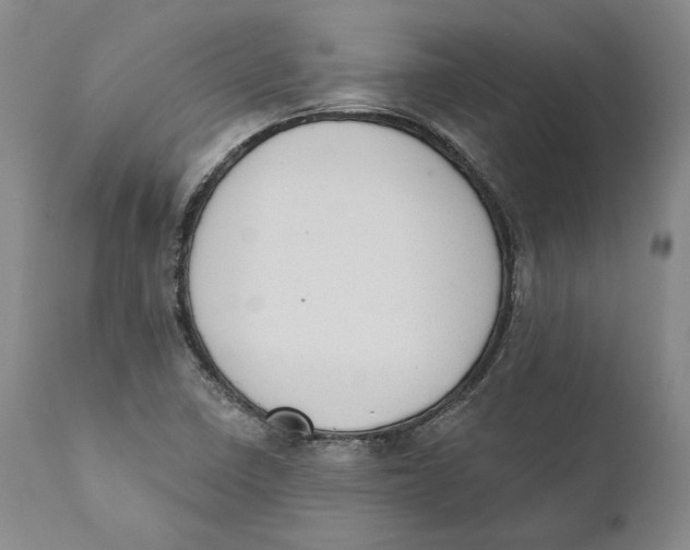 X0000110761410200907061043