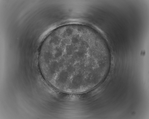 X0000110761411200907061043