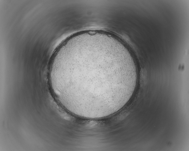 X0000110761412200907061044