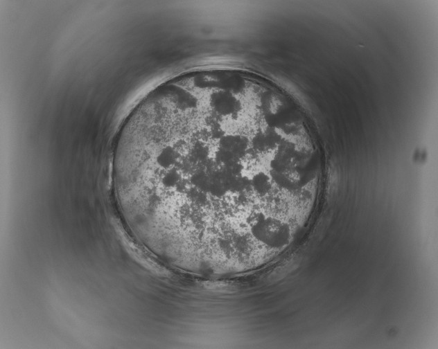 X0000110761413200907061044
