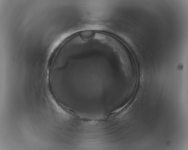 X0000110761414200907061044