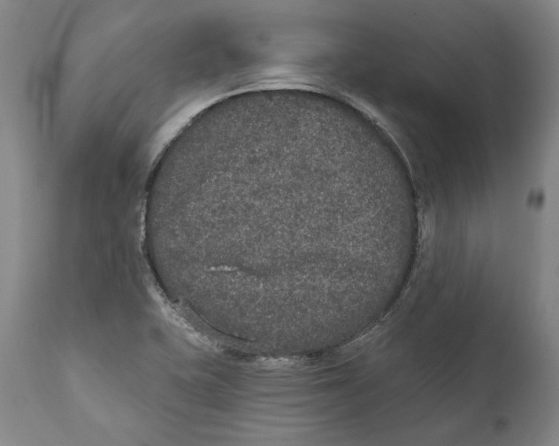 X0000110761415200907061044