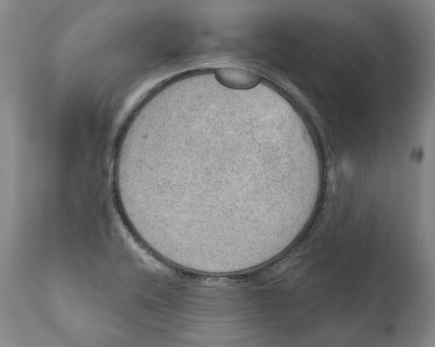 X0000110761416200907061044