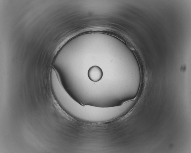X0000110761417200907061044