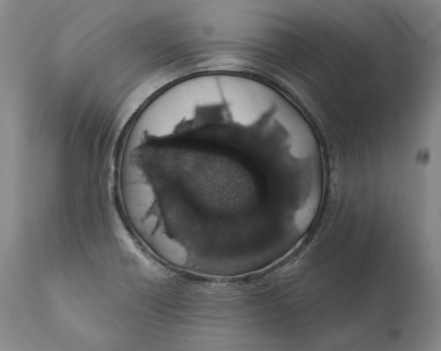X0000110761418200907061044