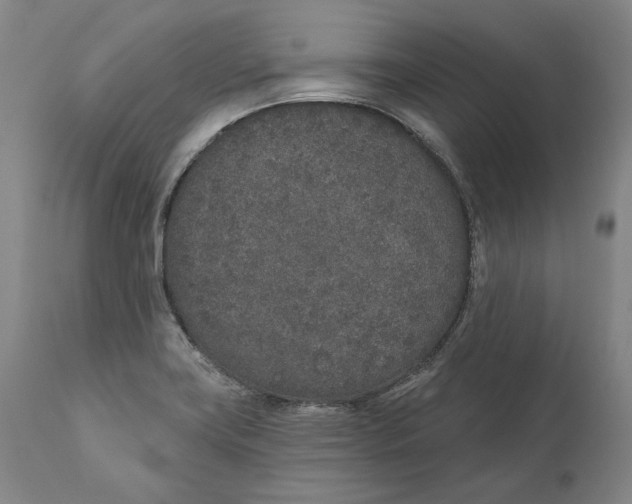 X0000110761419200907061044