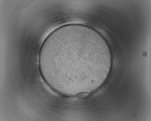 X0000110761420200907061044