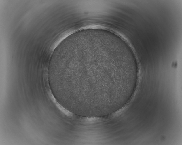 X0000110761425200907061044