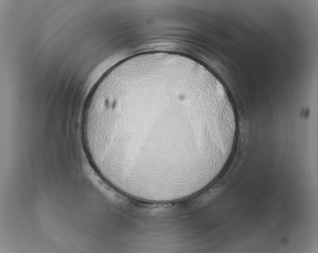 X0000110761426200907061044