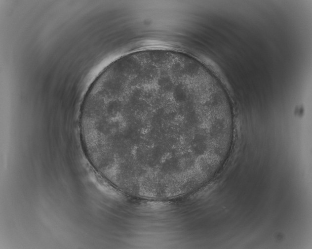 X0000110761427200907061044